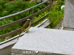 -龙环葡韵住宅式博物馆