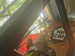 -No Cat 手碟