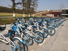 -黄海国家森林公园