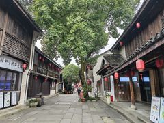 -鲁镇
