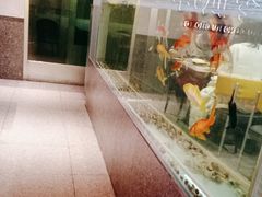 -令狐冲烤鱼·烧菜馆(达明店)