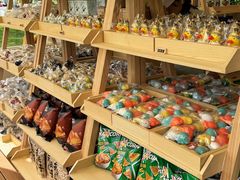 -春晖园度假酒店温泉