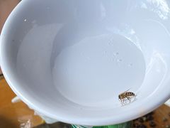 -尽善百年古院餐厅(王家老宅店)