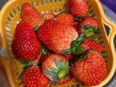 -百果园PAGODA(中铭豪园店)