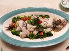 碧波鲈鱼-天和晟烤鸭店(世纪坛店)