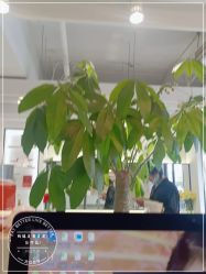 -LJOY丽锦造型·烫发染发