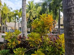 -海南清水湾莱佛士酒店