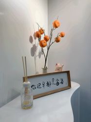 -DELAVAY黛乐薇抗衰中心