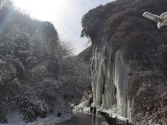-少华山国家森林公园