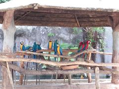 -清迈夜间动物园