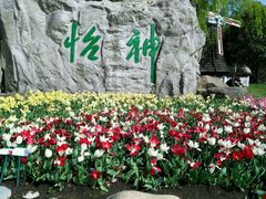 -上海鲜花港