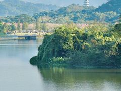 -风云岭森林公园