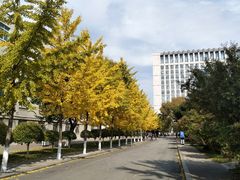 -东北大学(南湖校区)
