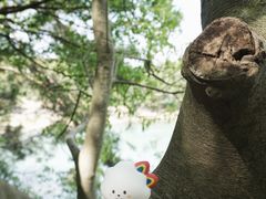 -南京市无想山景区