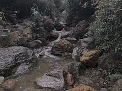 -南海湾森林生态园