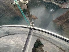 -蓝精灵乐园·世茂精灵之城主题乐园