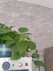 -瑶芳清颜草本祛痘