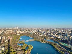 -中央广播电视塔