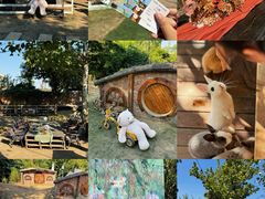 -HERRE·FARM 赫尔露营农场·团建聚会包场