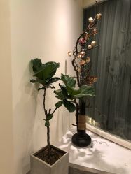 -康颜SPA自然疗愈皮肤管理中心
