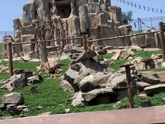 -石家庄市动物园