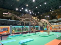 -国家自然博物馆