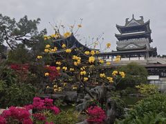 -荔湾湖公园