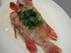 -協成海鮮火鍋(老店)