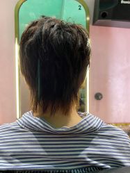 -杜尚发型