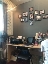 -明星刺青·洗纹身