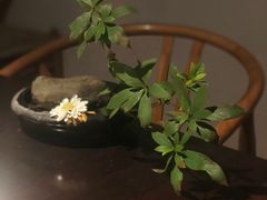-乐领拈花溪·林涧食韵