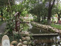 -成都市活水公园