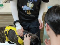 -动物缘宠物医院·骨科·猫科(西二环店)