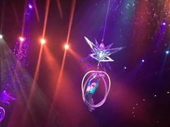 -珠海横琴长隆《卡卡虎奇遇记》