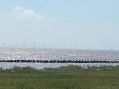 -南汇嘴观海公园