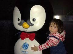 -成都浩海立方海洋公园