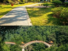 -广西龙虎山风景区