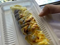-内涵饵块