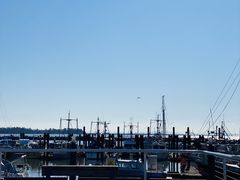 -Steveston Pizza Company (Richmond)