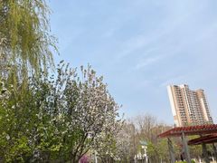 -济南国际园博园