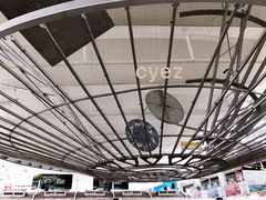 -约翰·菲茨杰拉德·肯尼迪国际机场