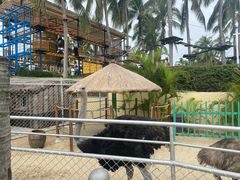 -三亚亚龙湾天域度假酒店