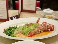 清蒸东星斑-8餐厅(新葡京酒店)