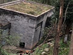 -都江堰中华大熊猫苑