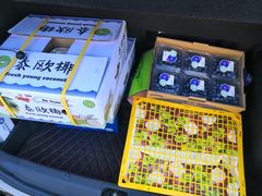 -西郊国际农产品交易中心