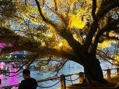 -江心屿景区