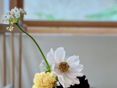 -卷耳咖啡