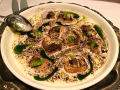 -壳里西餐厅Coquille Seafood Bistro(蒙自路店)