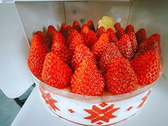 -聚福SHANGHAILANDER(乌鲁木齐南路店)