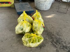 -马陆小张葡萄园农家乐